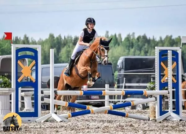 Laadukas ja monipuolinen WPB ponitamma kouluun, esteille ja vikellykseen