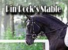 Pin Rock's Stable